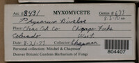 Image Associated With the Occurence